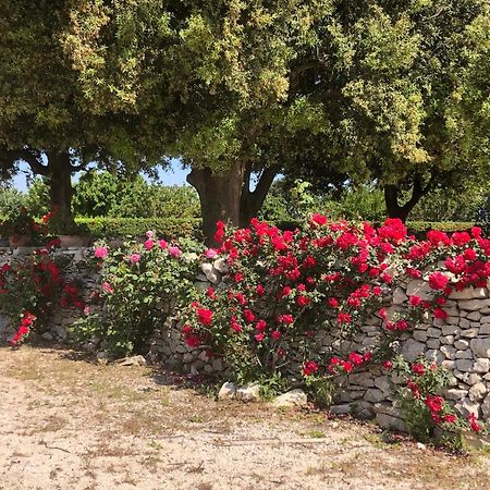 Ai Pilieri Di Bagnoli Villa Castel Del Monte  Buitenkant foto