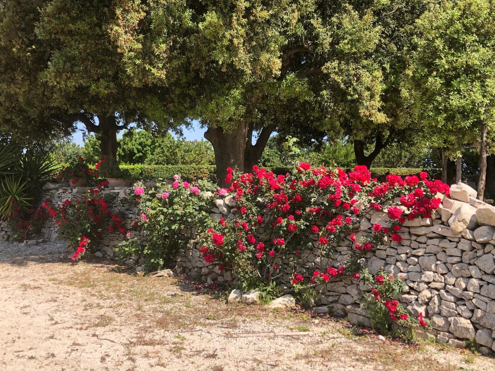 Ai Pilieri Di Bagnoli Villa Castel Del Monte  Buitenkant foto