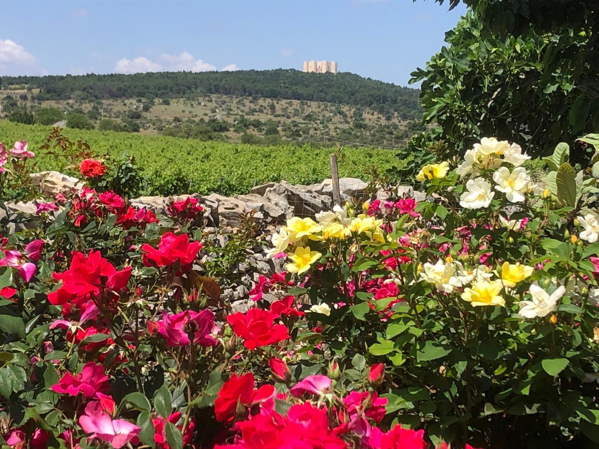 Ai Pilieri Di Bagnoli Villa Castel Del Monte  Buitenkant foto